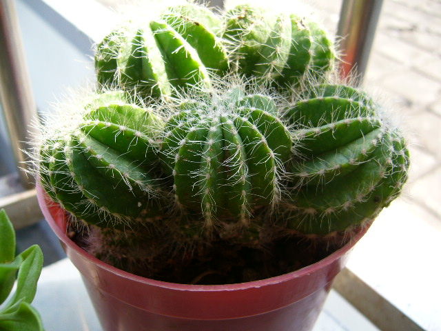 006wOvdJzy744Q67GKe82.jpg 006wOvdJzy744Q67GKe82.jpg